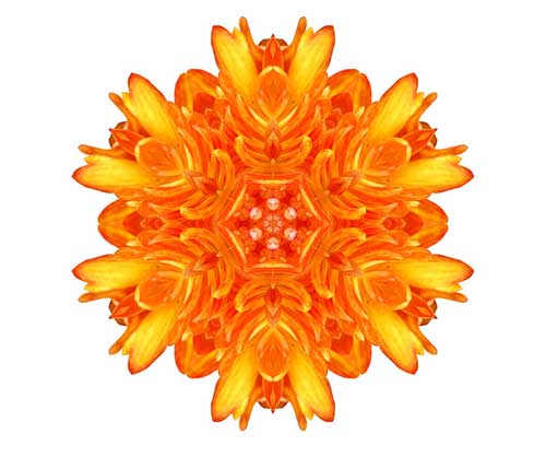 \